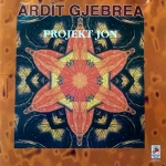Projekti Jon (1997) Ardit Gjebrea