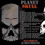 Skull Planet 117861