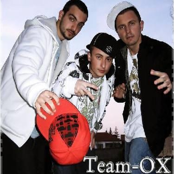 Team-Ox