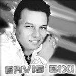 Ervis Bixi